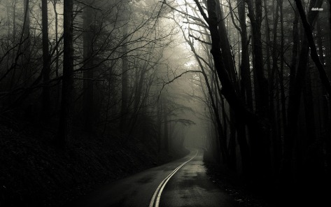 dark-road-through-woods
