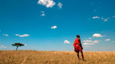 mara-cottars-maasai-lone-tree
