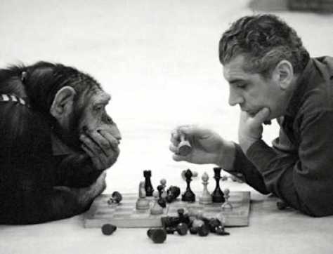 chimp-chess